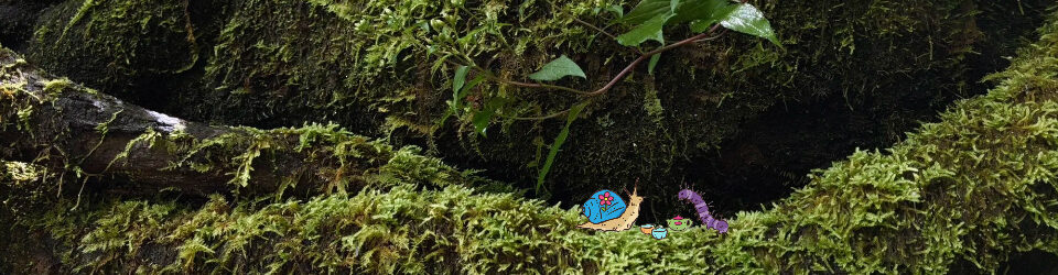 The Meadow Worm